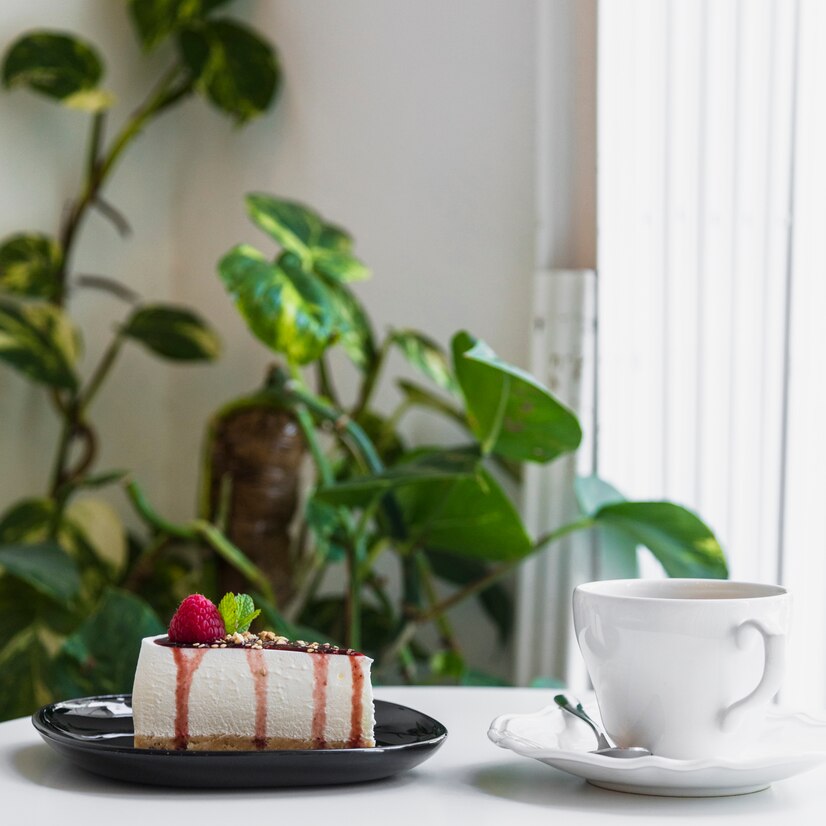 Milk Cake